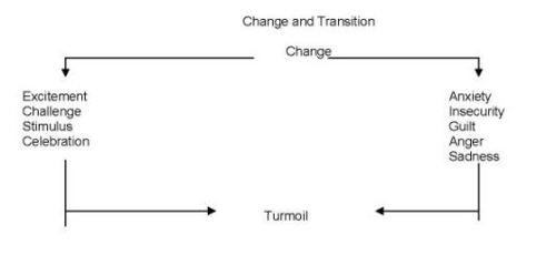 Coping with change cycle